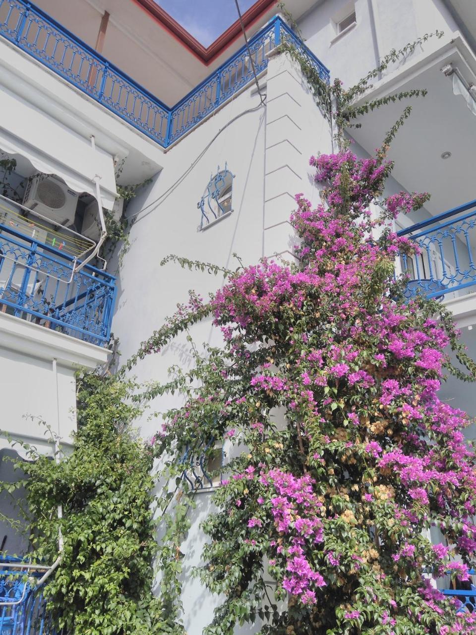 Ionio Gastronomy Suites อัมมูเดีย ภายนอก รูปภาพ